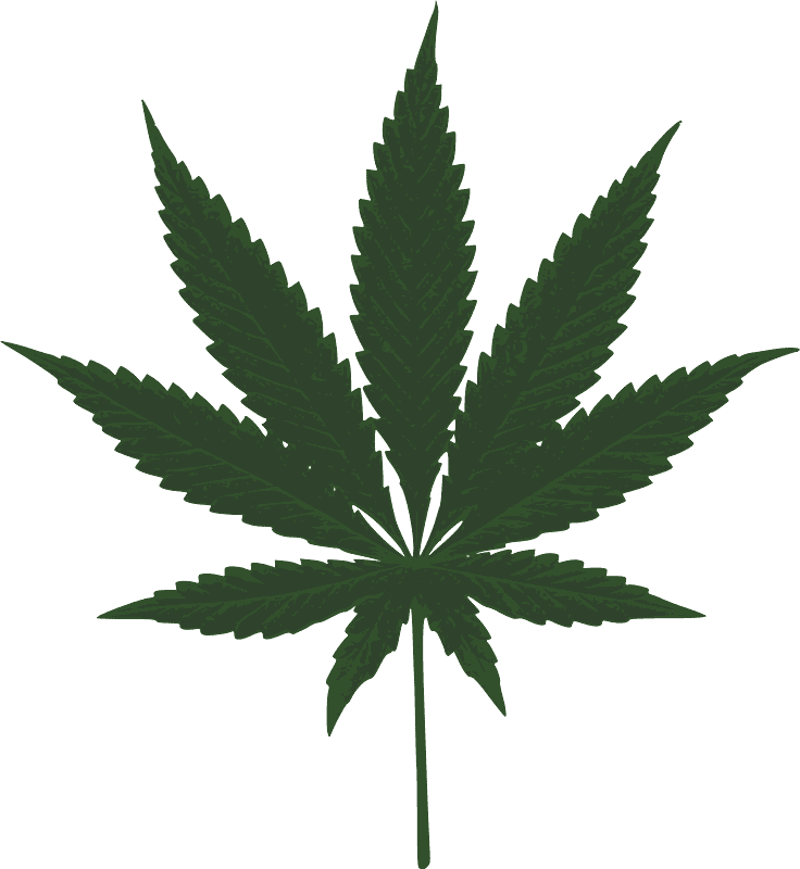 Weed clipart transparent background 6