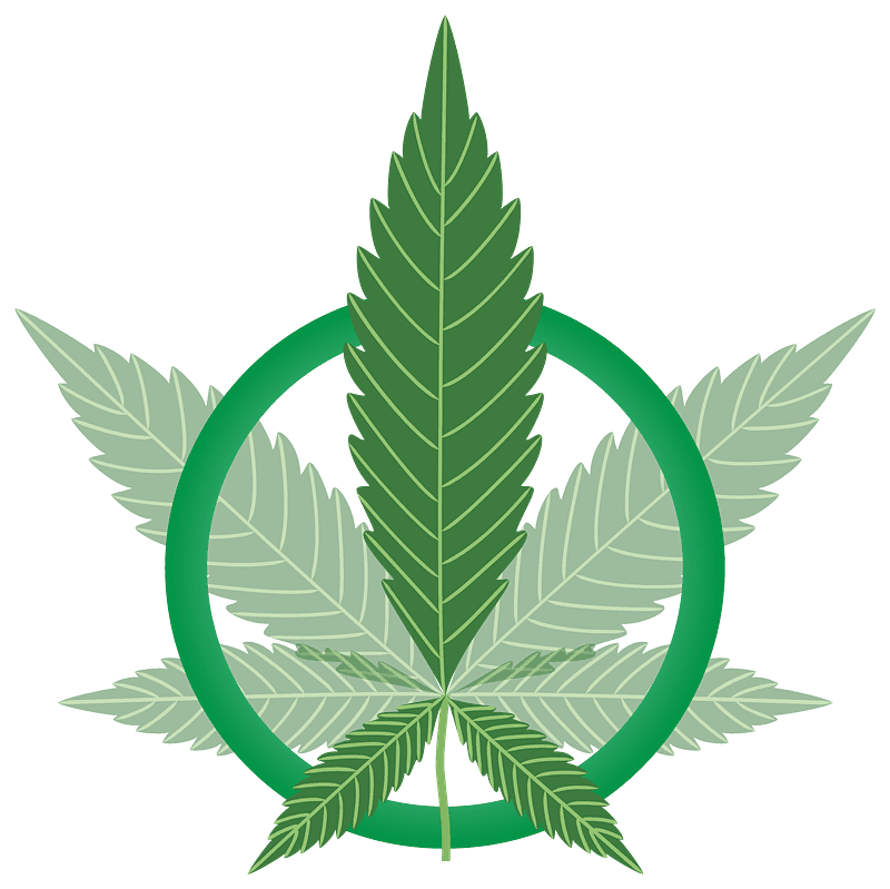 Weed clipart transparent background 7