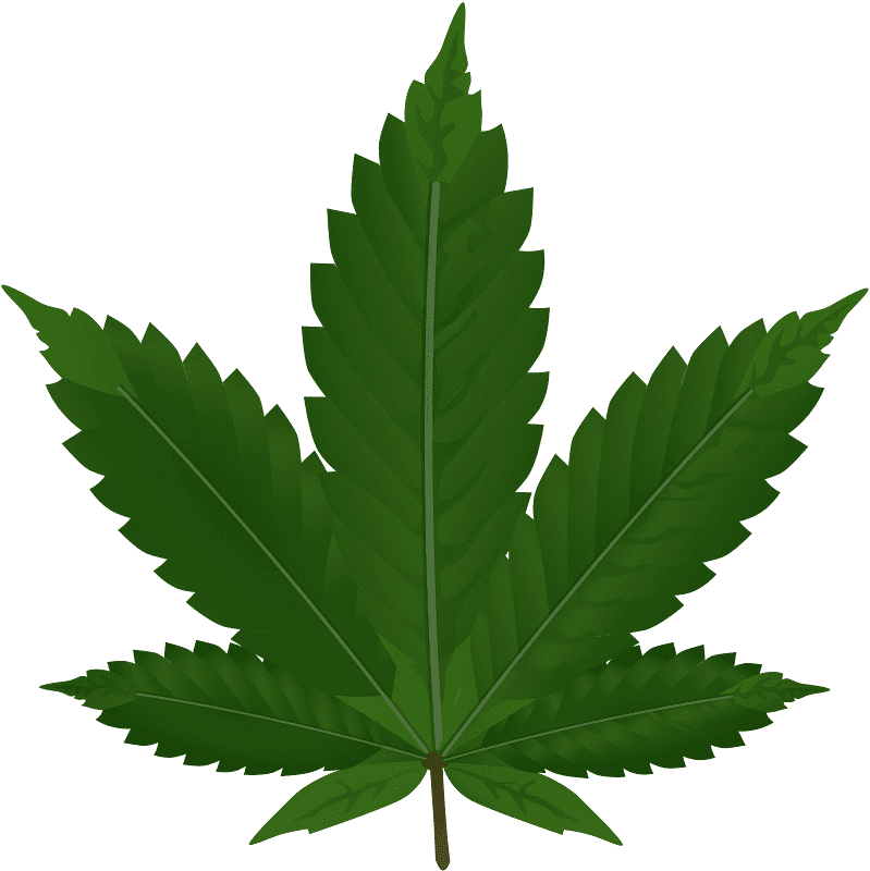 Weed clipart transparent background 8
