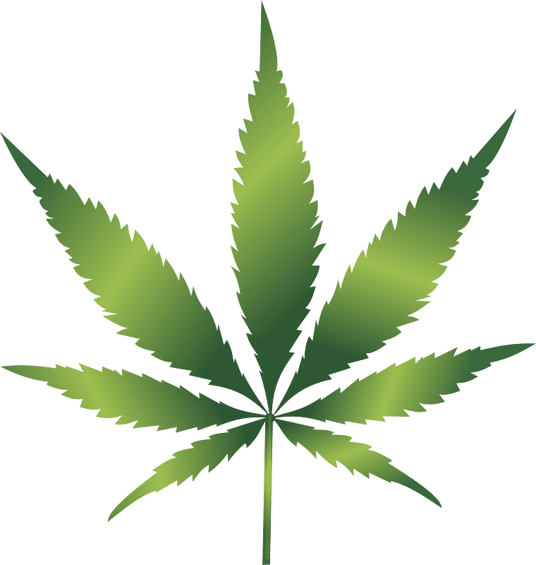 Weed clipart transparent background 9