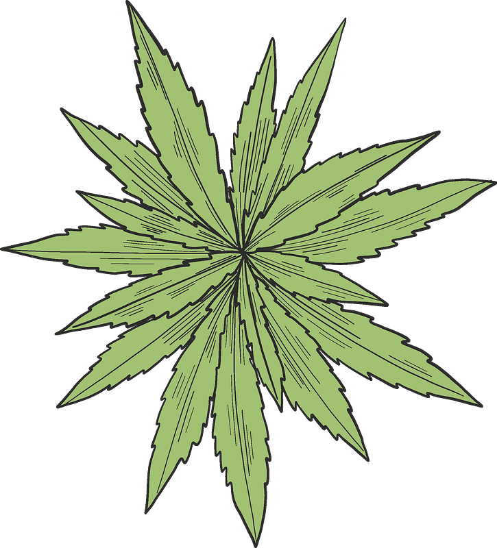 Weed clipart transparent background