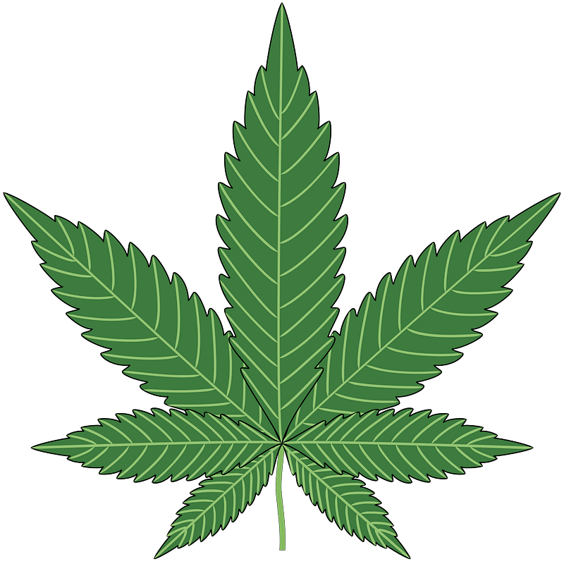 Weed clipart transparent