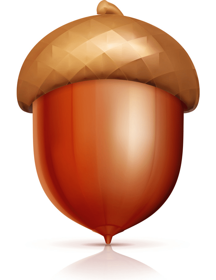 Acorn clipart for free
