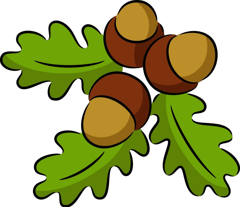 Acorns clipart for free