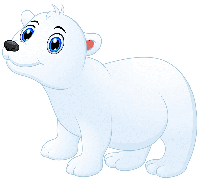 Baby Polar Bear clipart for free