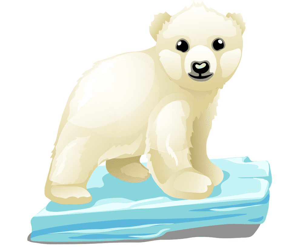 Baby Polar Bear clipart image