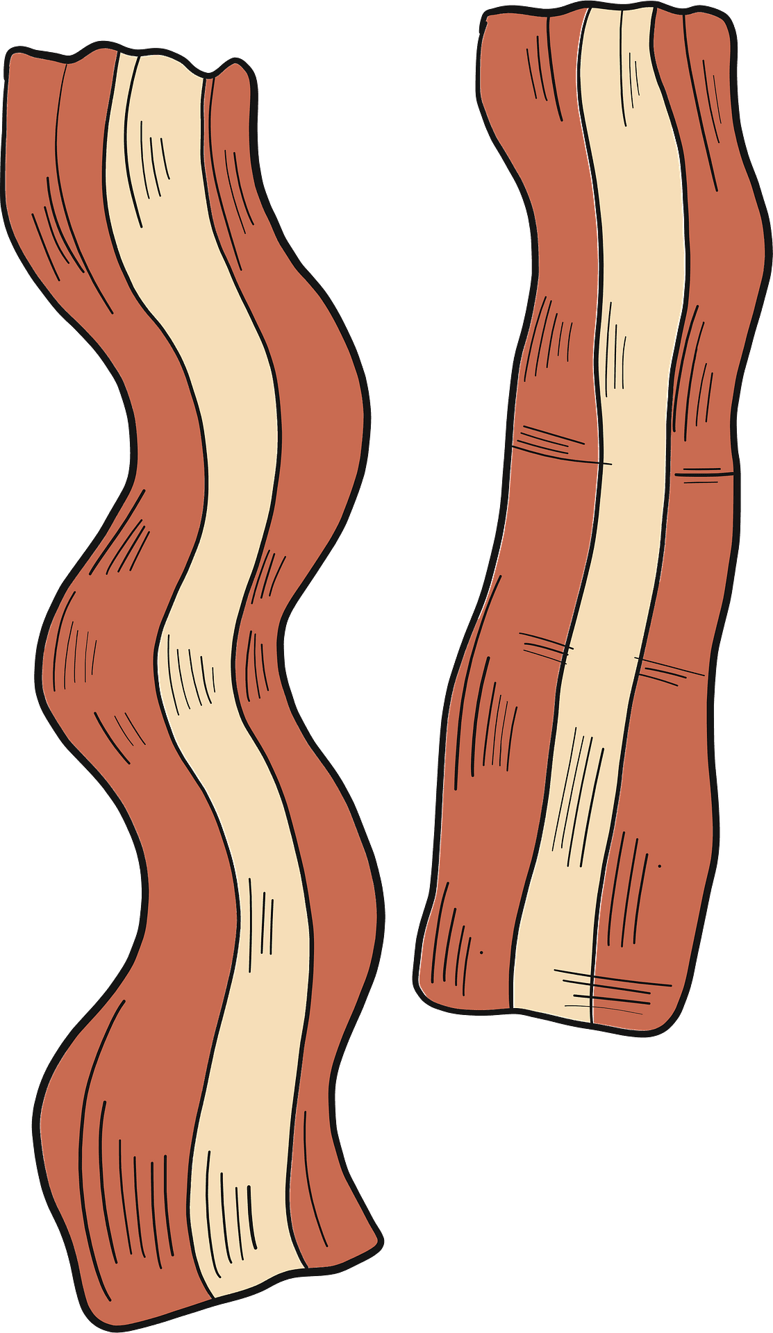 Bacon clipart transparent image