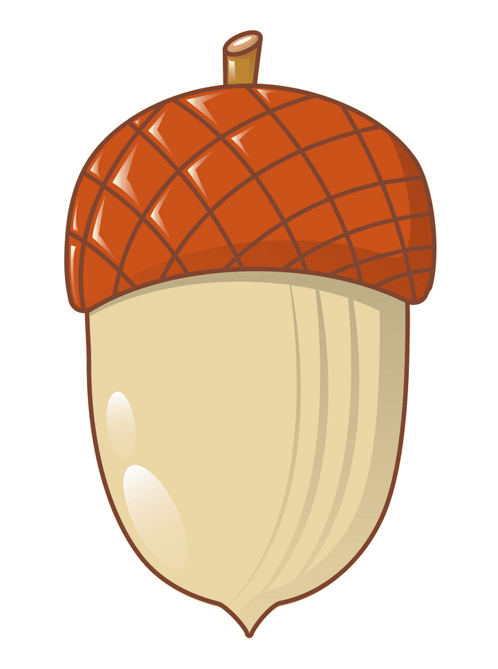 Clipart Acorn for free