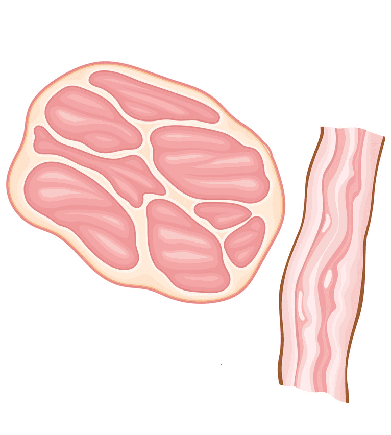 Clipart Bacon download