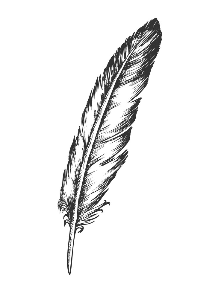 Feather Clipart Black and White free