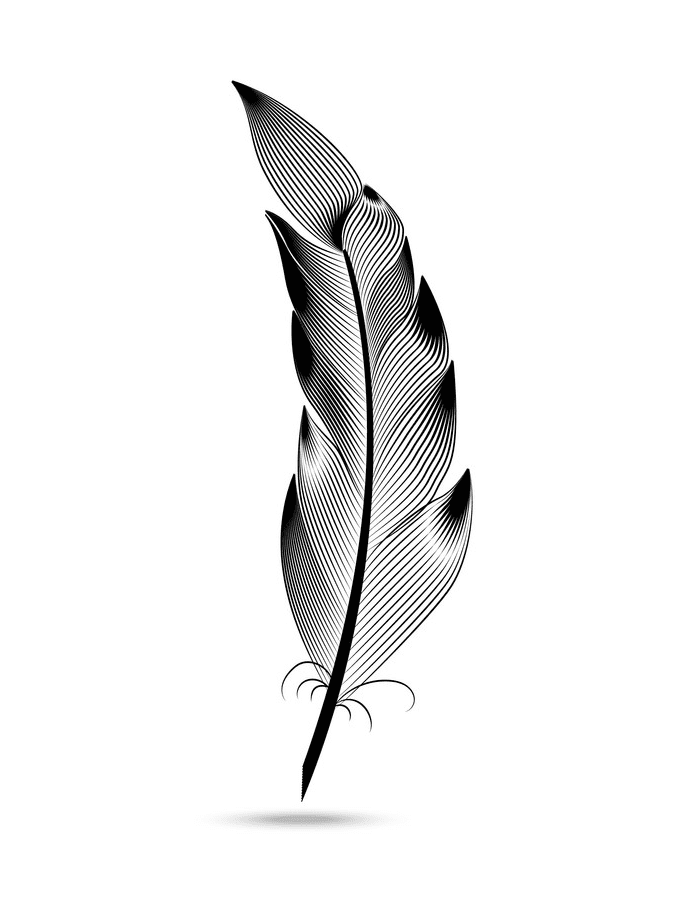 Feather Clipart Black and White
