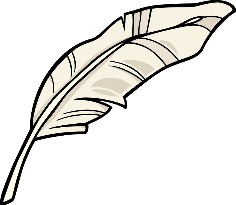 Feather clipart 3