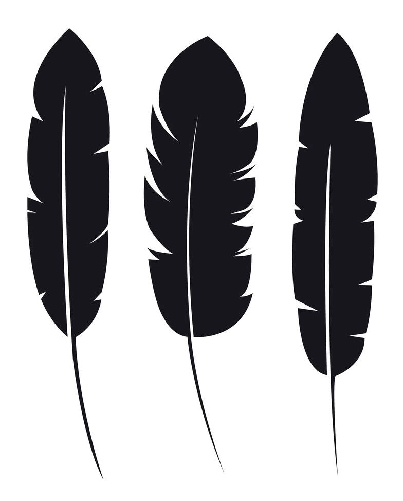 Feather clipart 4