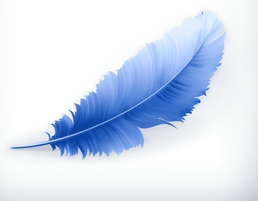 Feather clipart free