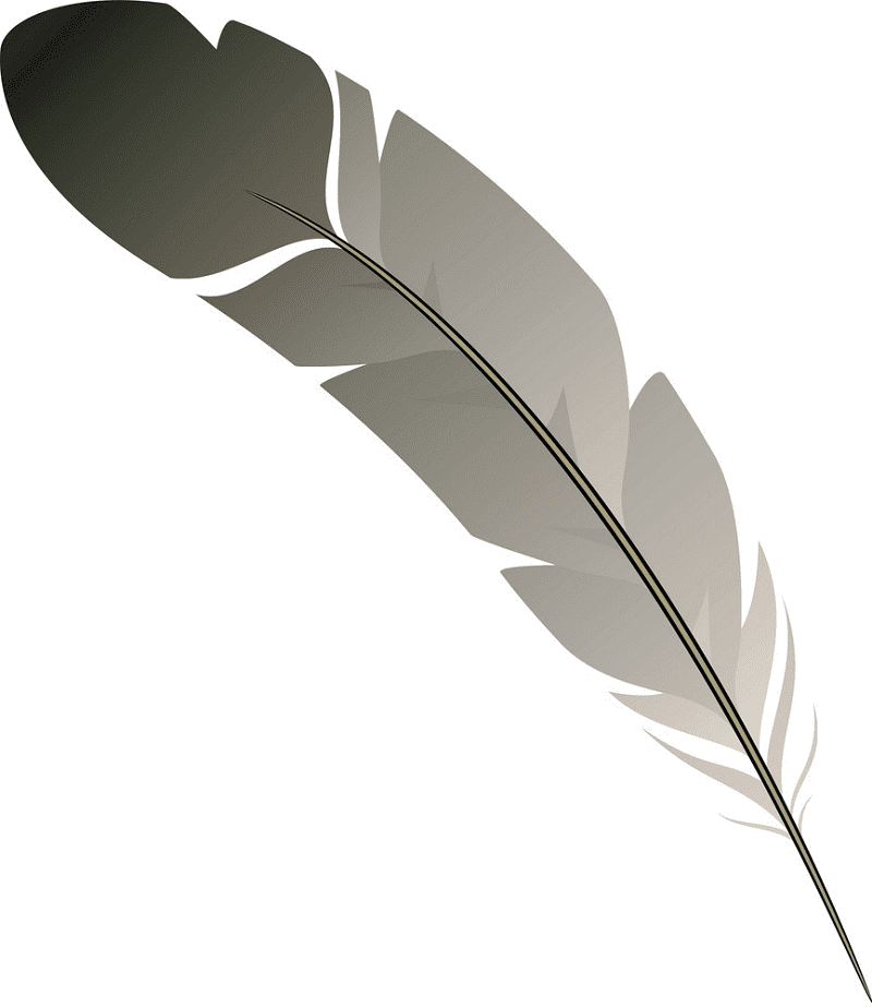 Feather clipart image