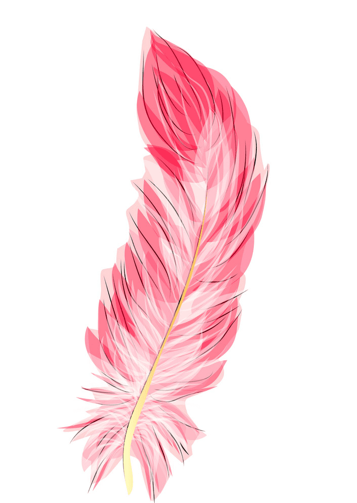 Feather clipart png image