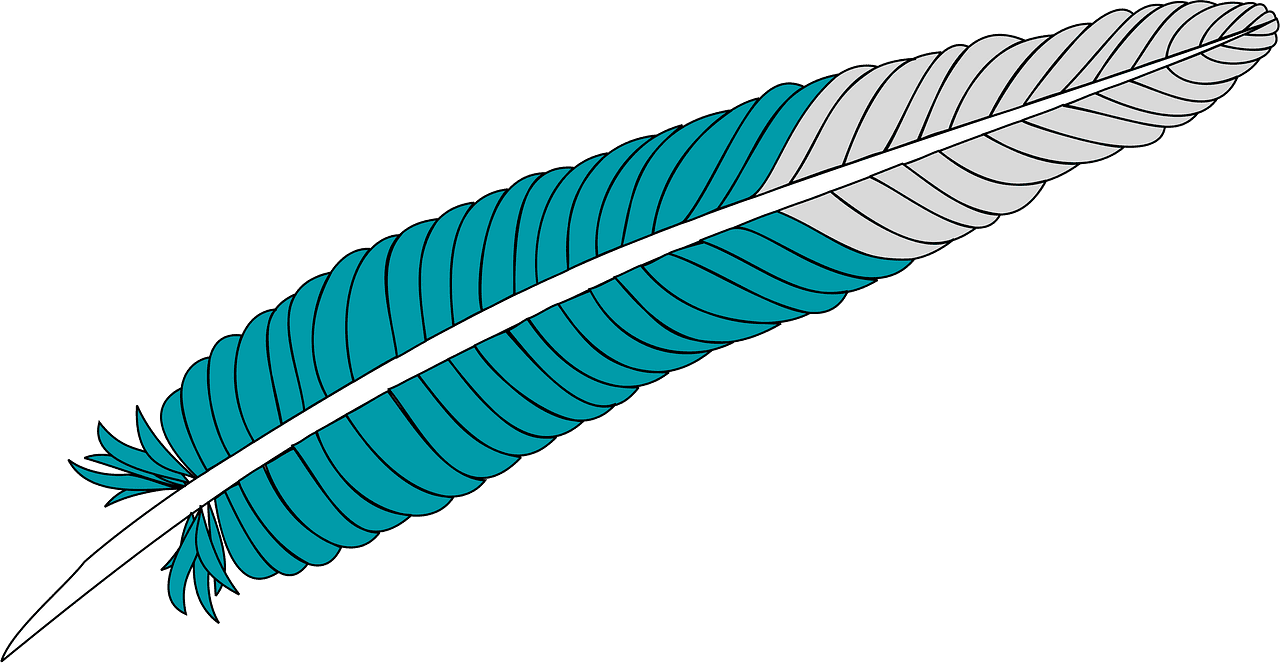 Feather clipart transparent 13