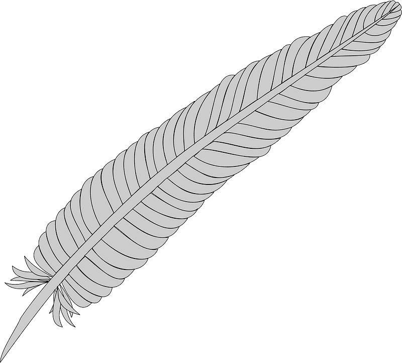 Feather clipart transparent 8