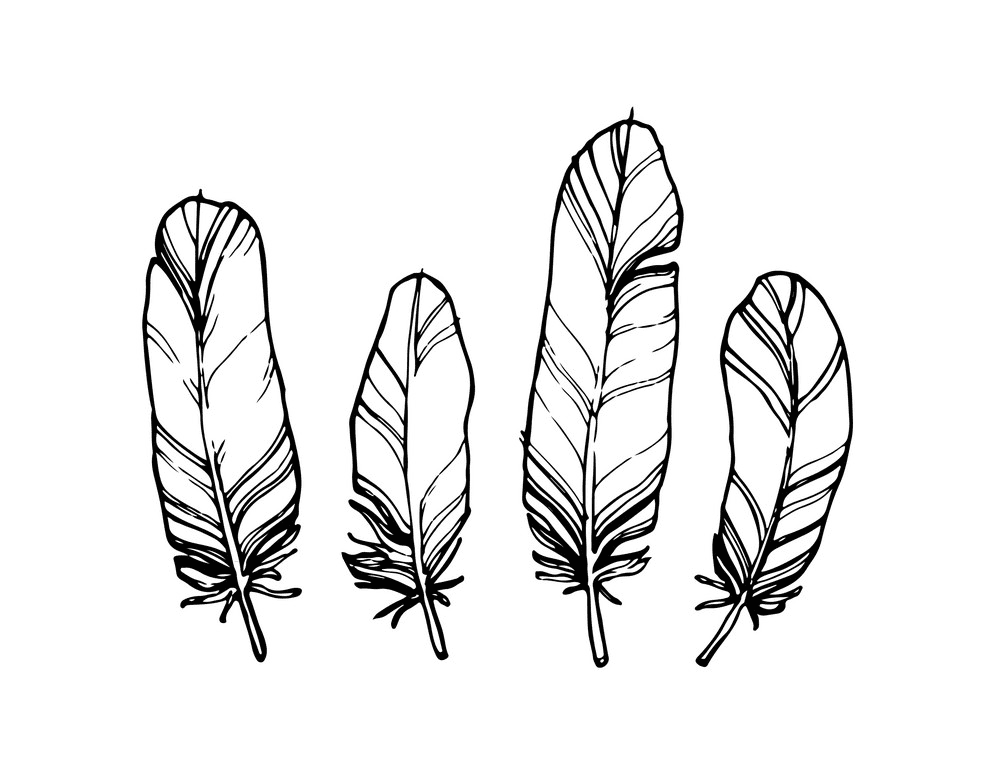 Feathers Clipart Black and White