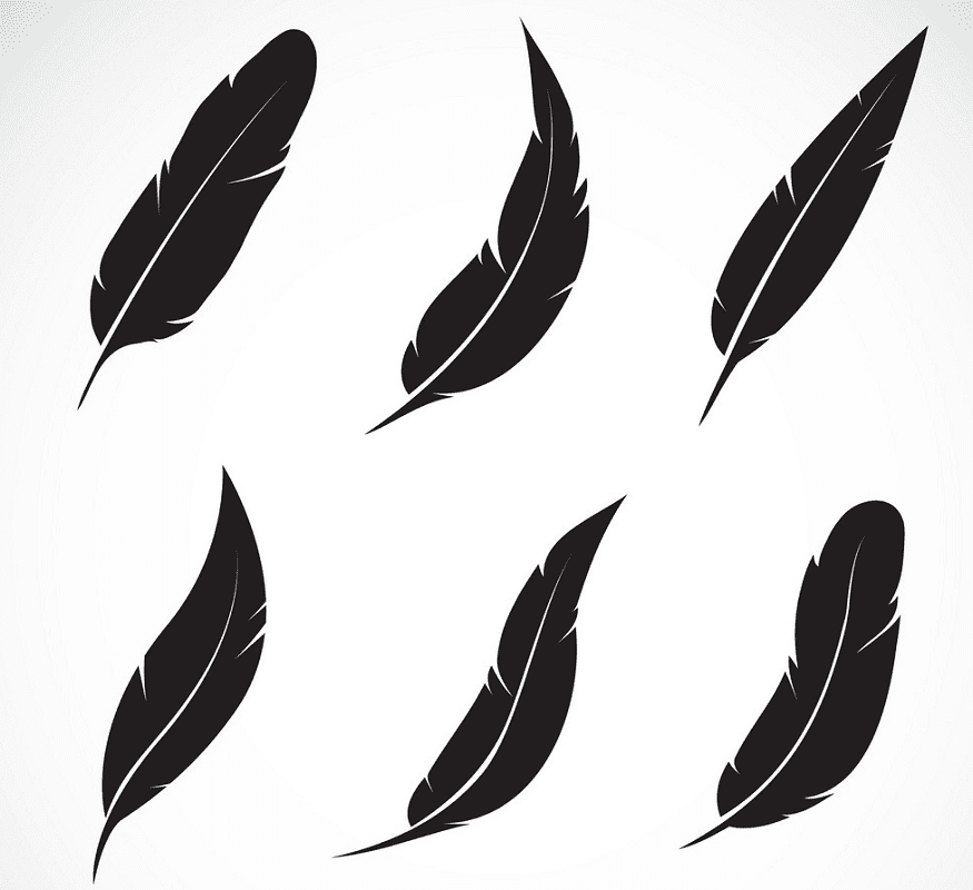 Feathers clipart for free