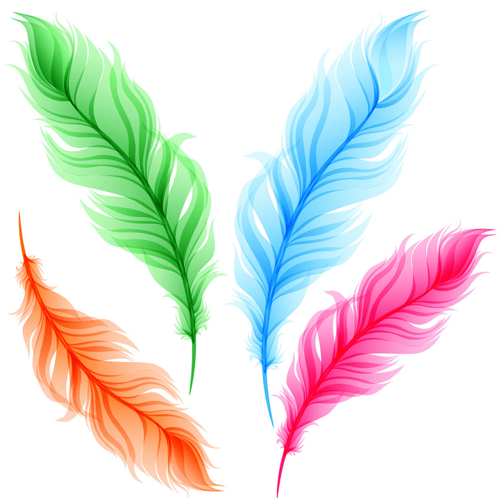 Feathers clipart image