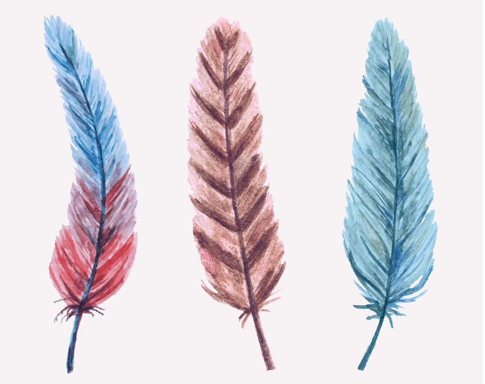 Feathers clipart png images