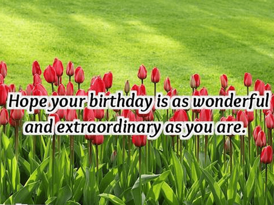 Happy Birthday Wishes png download