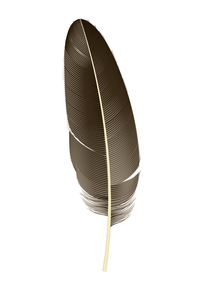 Indian Feather clipart free