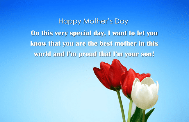 Mother's Day Wishes png 5