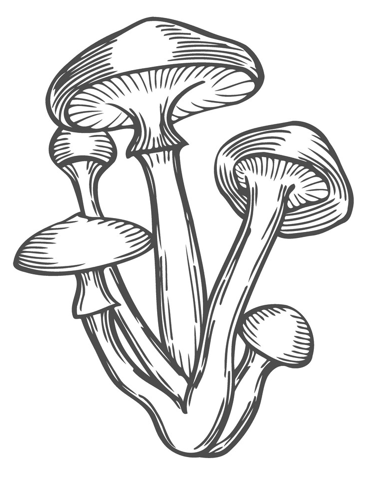 Mushroom Clipart Black and White free
