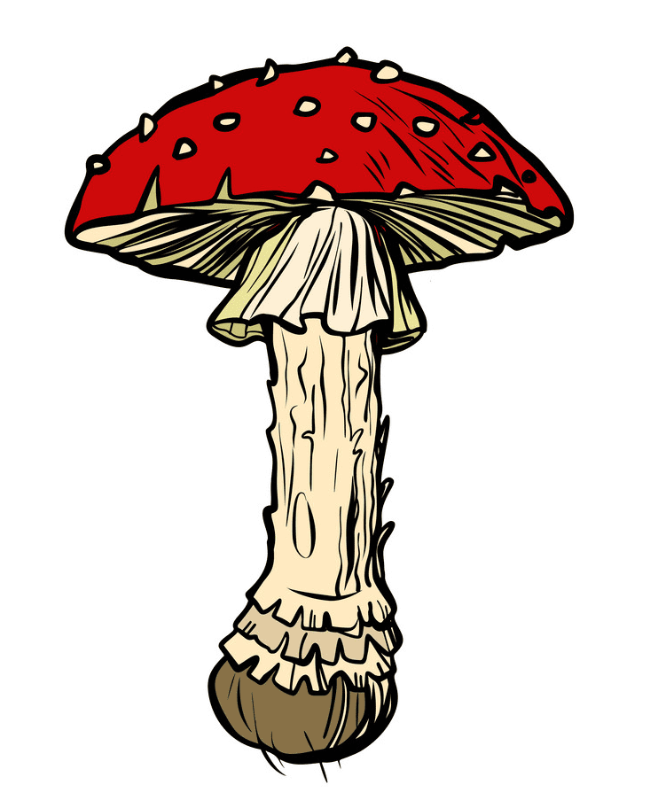 Mushroom clipart 2
