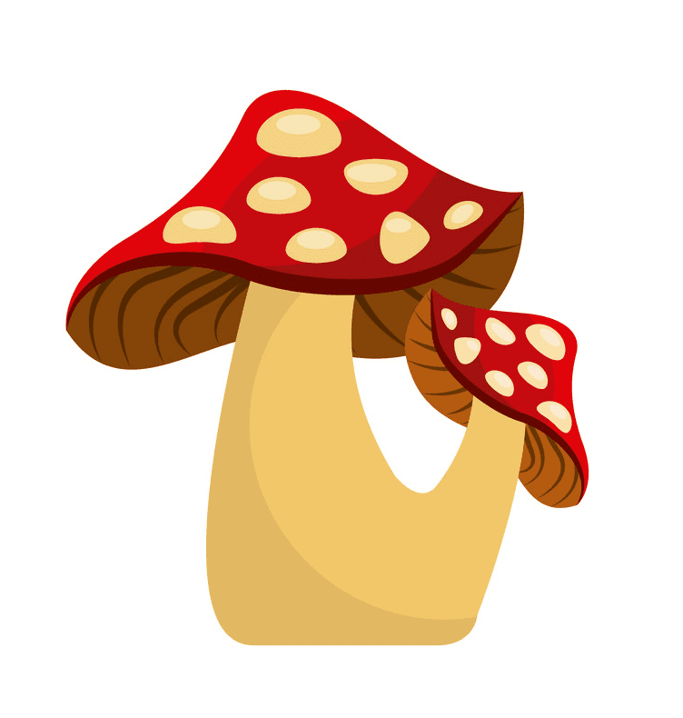 Mushroom clipart 3