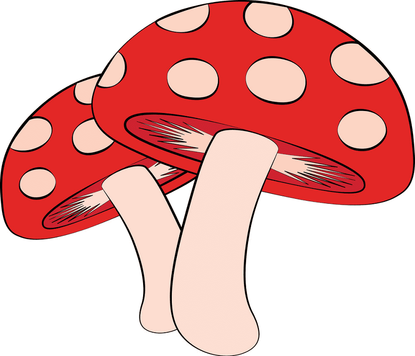 Mushroom clipart 6