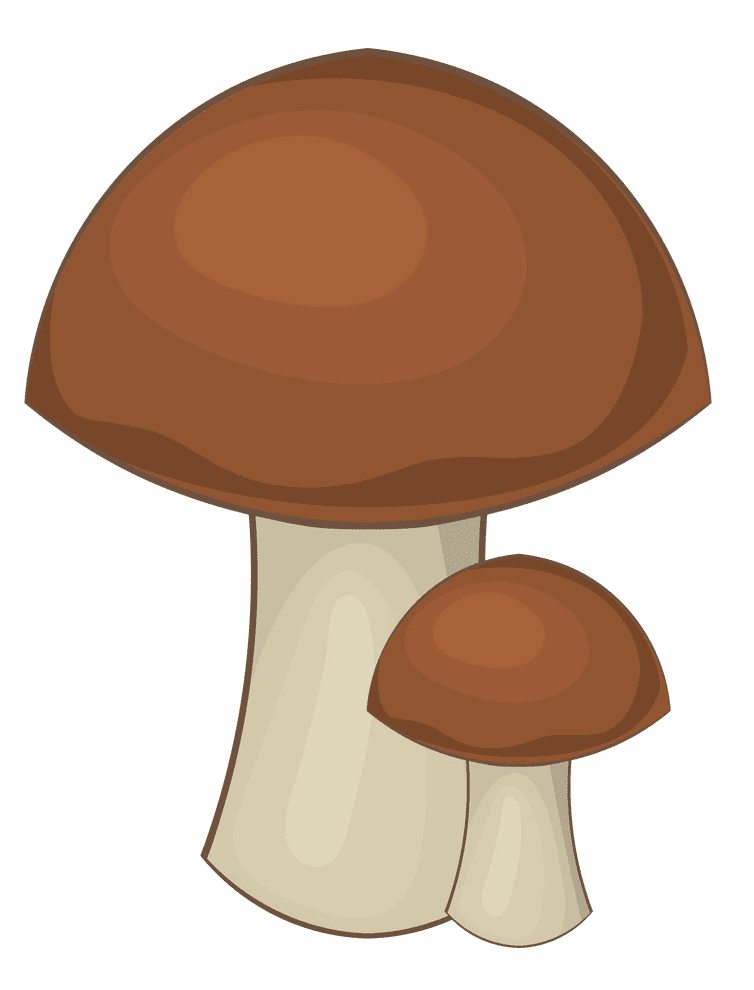 Mushroom clipart picture