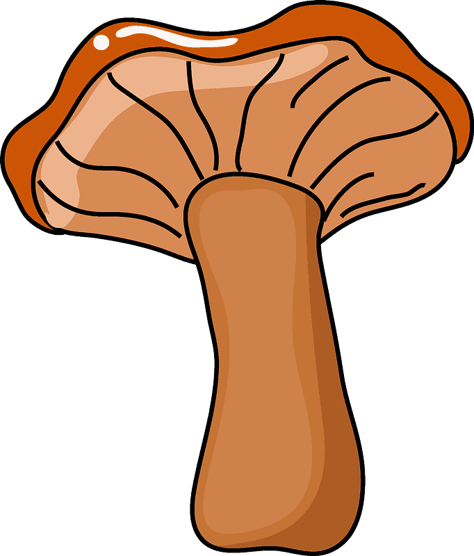Mushroom clipart transparent 2