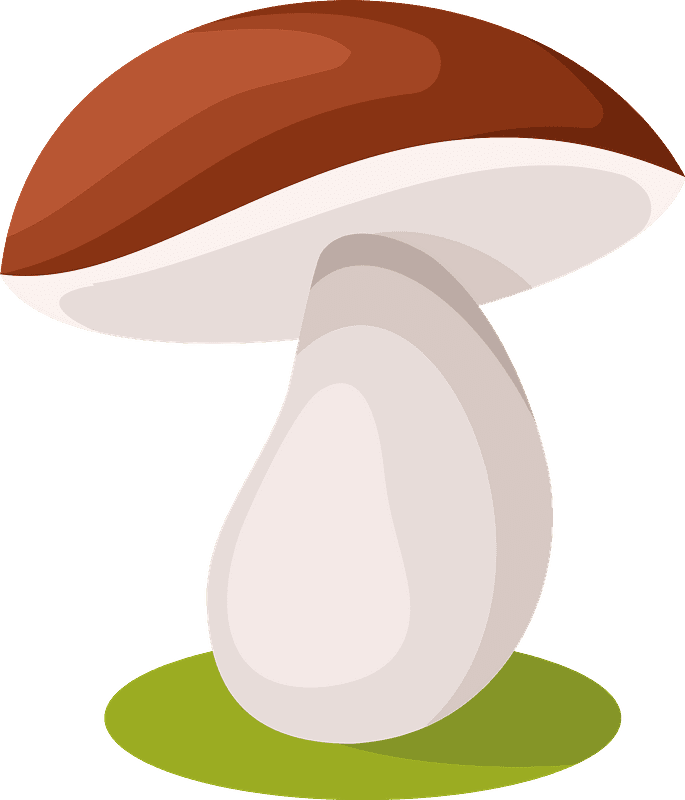 Mushroom clipart transparent 3
