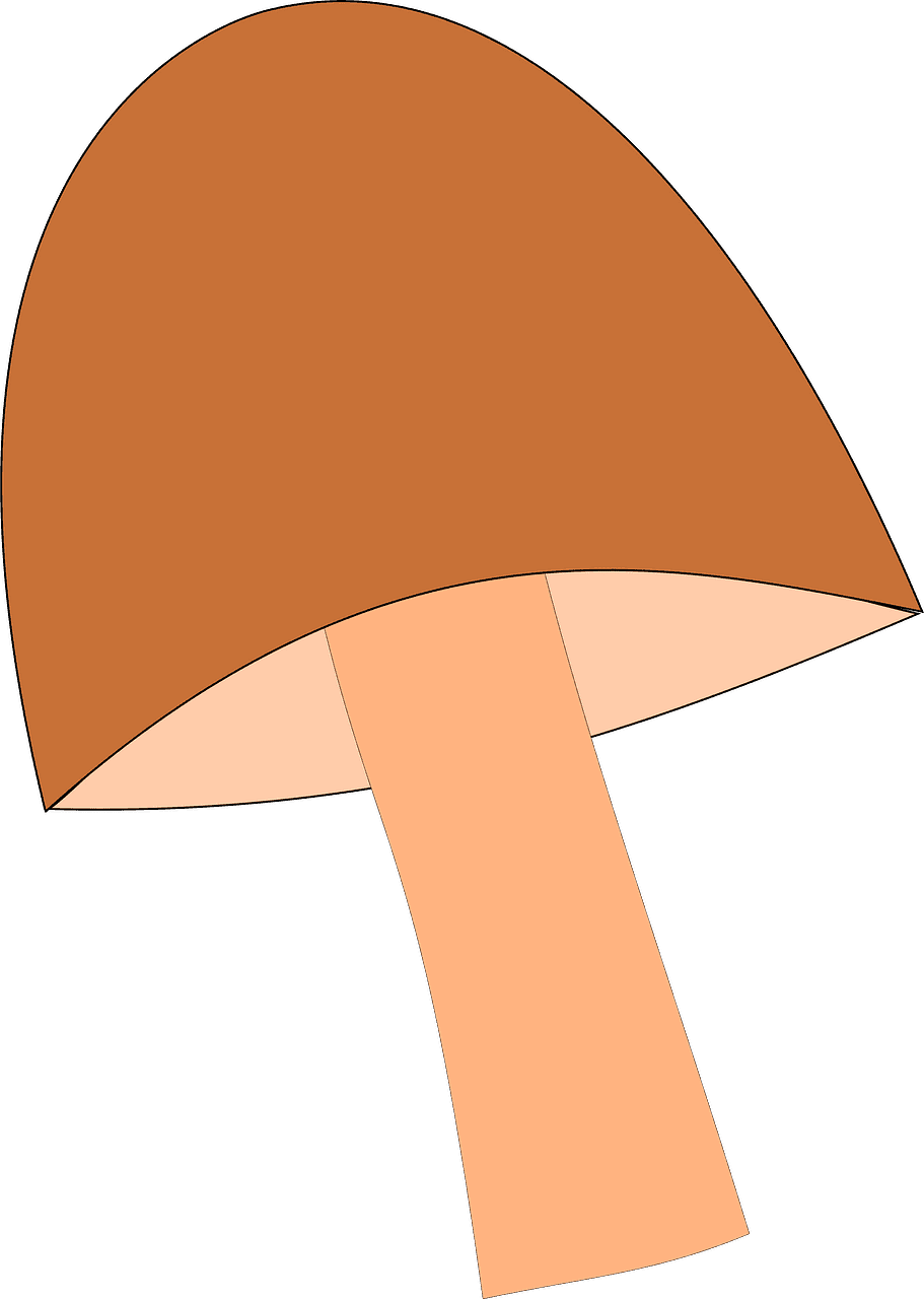 Mushroom clipart transparent 5