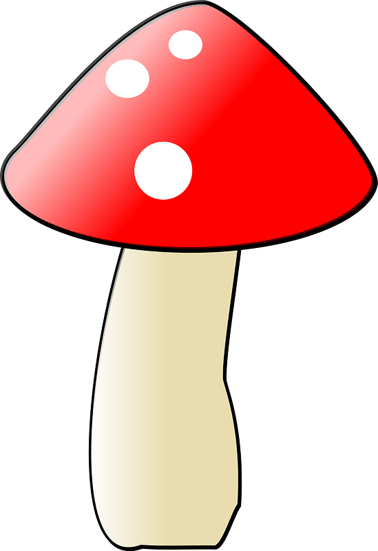 Mushroom clipart transparent 6