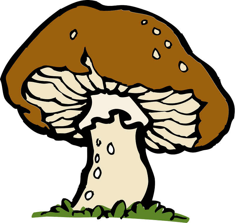 Mushroom clipart transparent 8