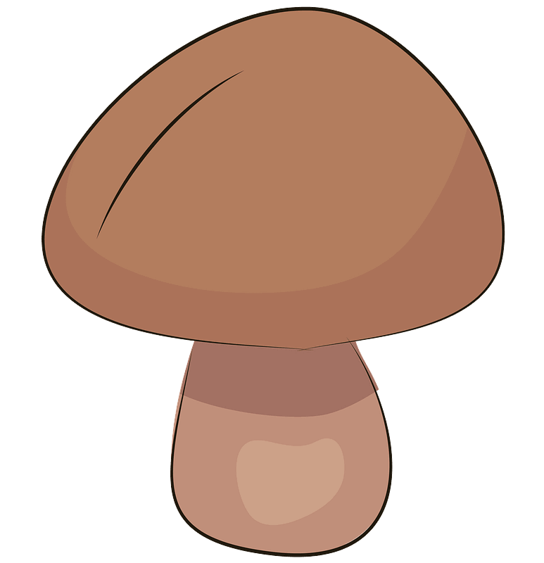 Mushroom clipart transparent image