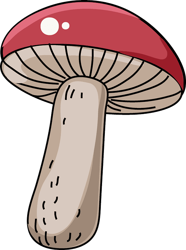 Mushroom clipart transparent picture