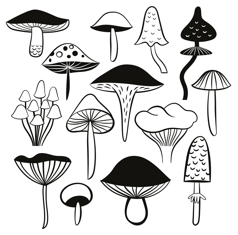 Mushrooms Clipart Black and White free