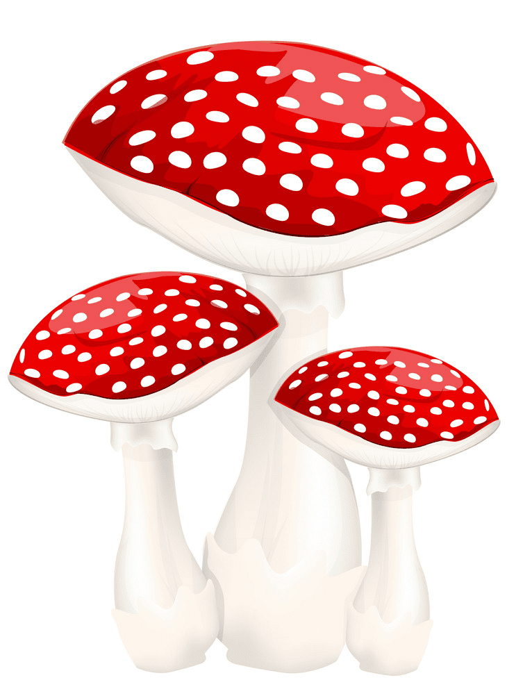 Mushrooms clipart 1