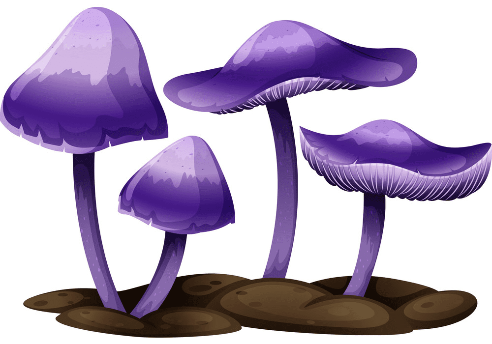 Mushrooms clipart 2
