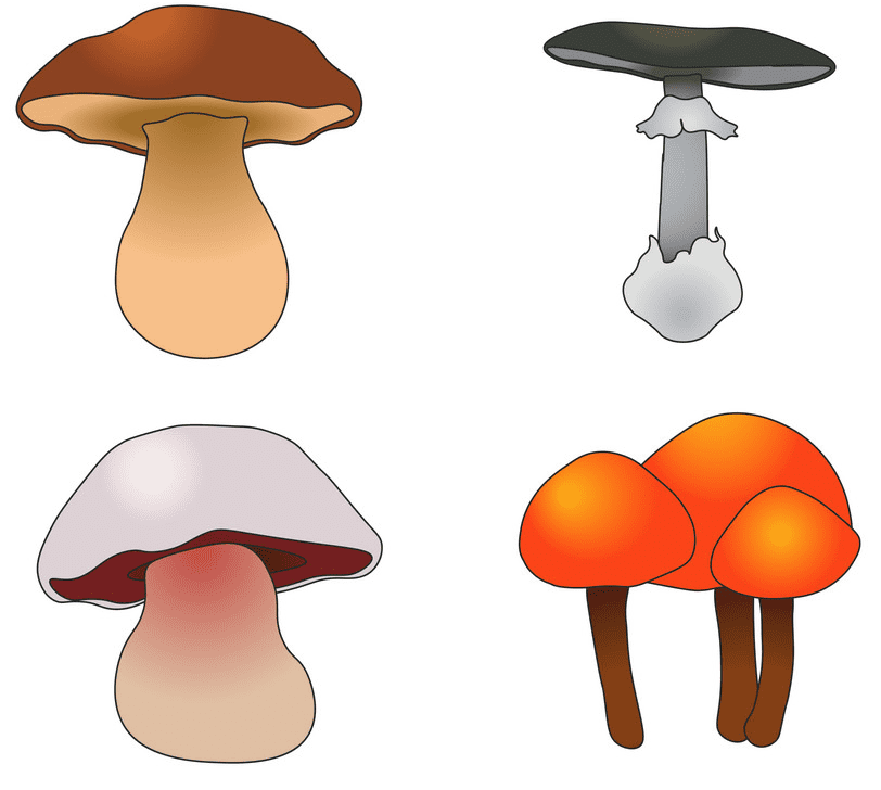 Mushrooms clipart for free