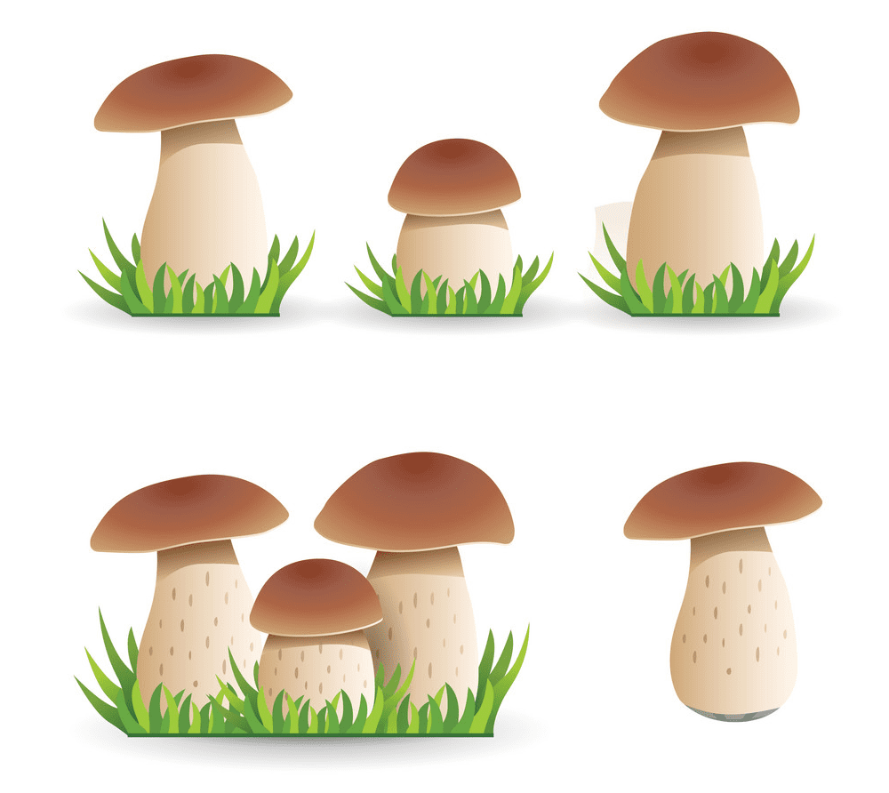 Mushrooms clipart free image