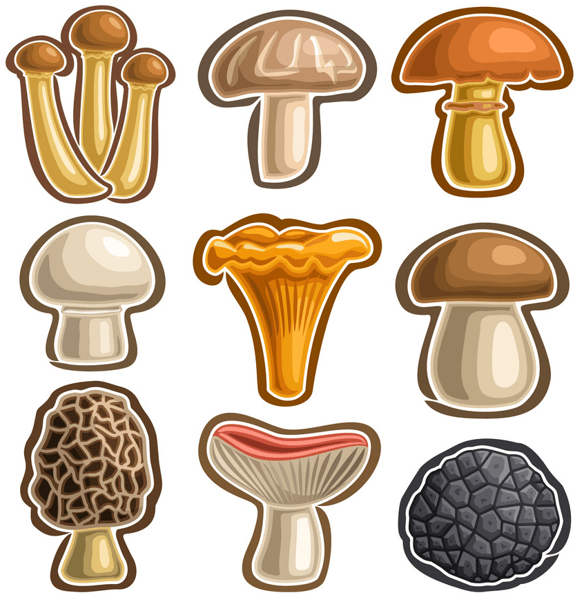 Mushrooms clipart free images