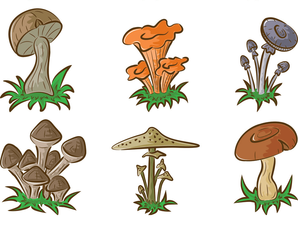 Mushrooms clipart images