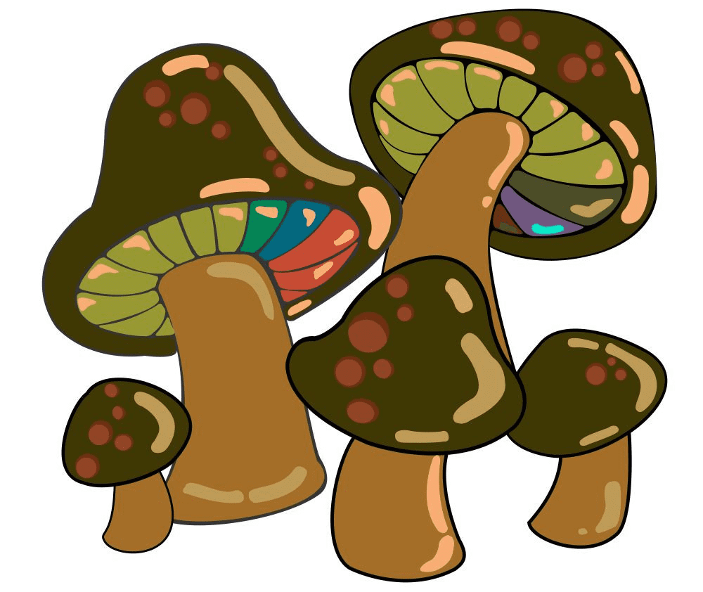 Mushrooms clipart picture