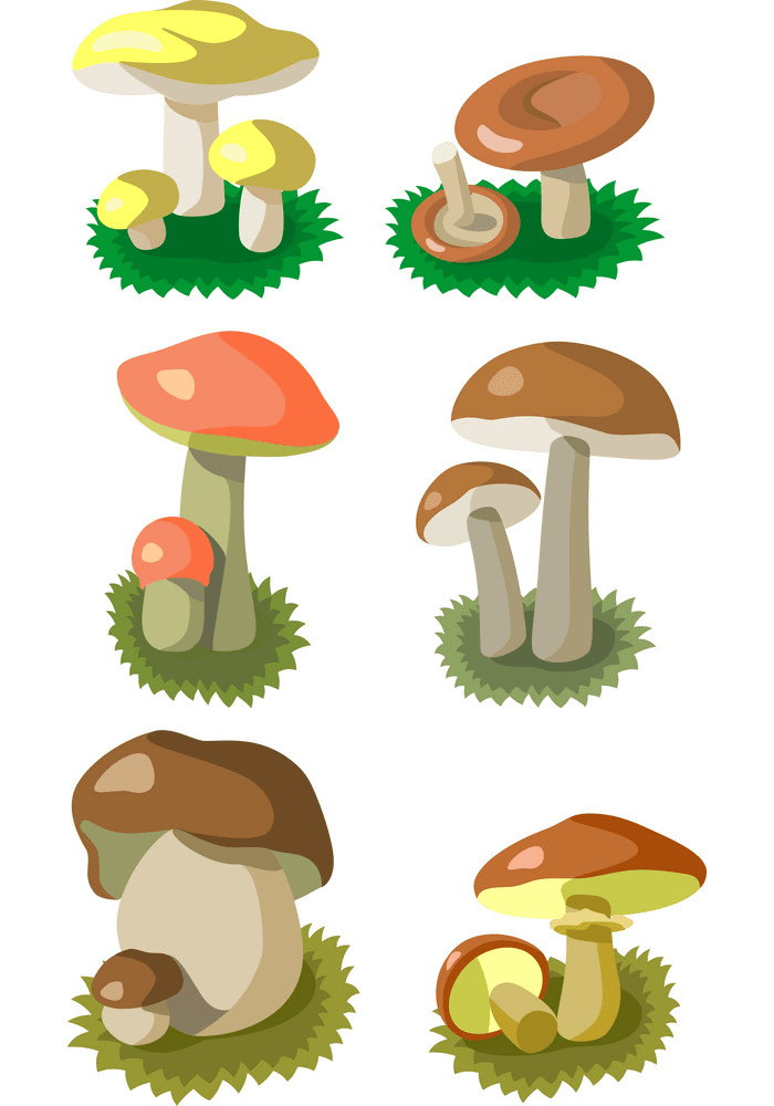Mushrooms clipart png image